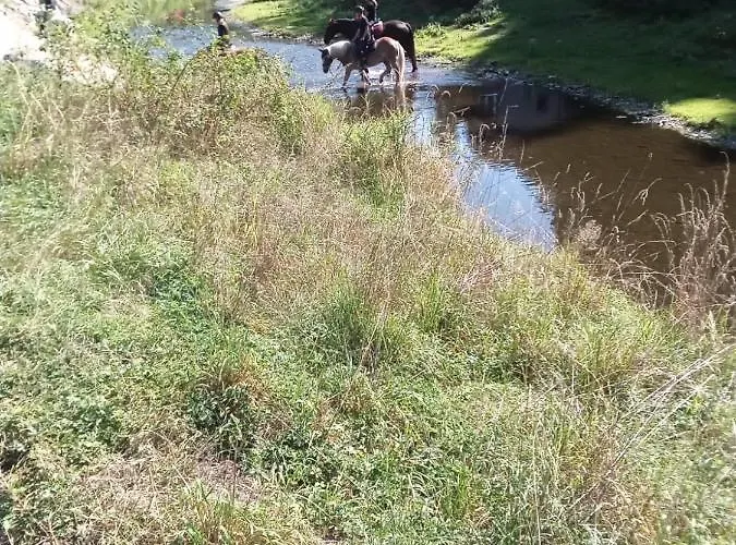 Rekreacni Kocaba Apartman *